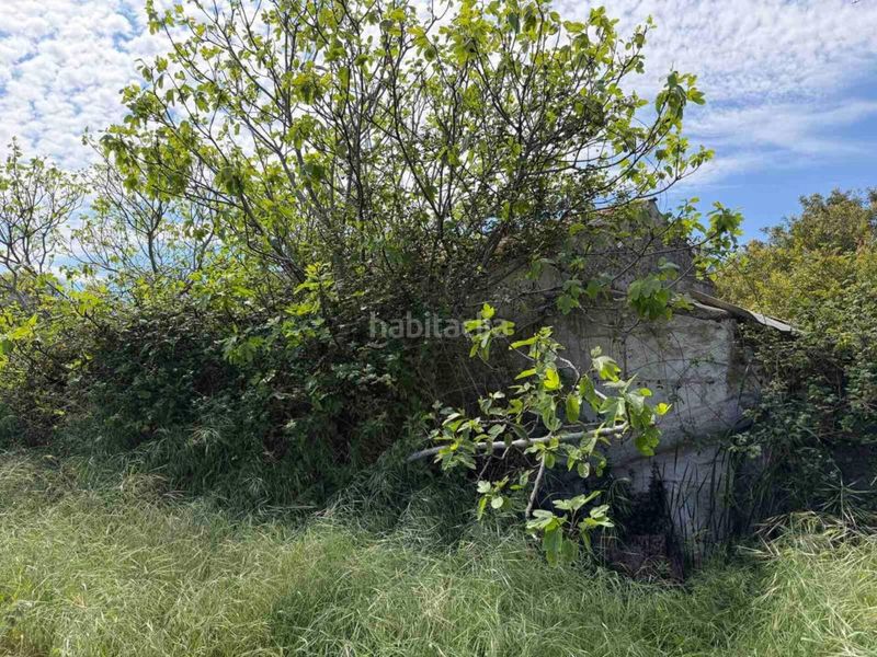 Foto 7c53a54c-a5d6-4466-9d3d-0a00f0e8551b. Finca rústica finca rustica en venta en Muro