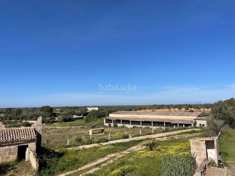 Foto 026e3c2a-5840-4d40-86df-f1c8dfa82da1. Rural plot in Llucmajor interior Llucmajor