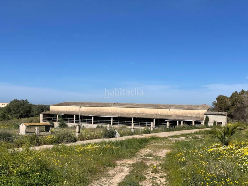 Foto 57e3f6de-99cf-4aec-89fd-6f331040cd1c. Rural plot in Llucmajor interior Llucmajor