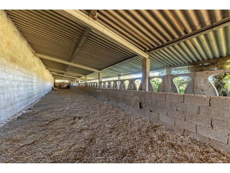 Foto 62d66b97-e135-44d1-81e2-3355653d76a5. Finca rústica a Llucmajor interior Llucmajor