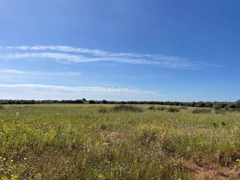 Foto 9486a5c3-3b6f-4d53-80f6-2370ced17a5c. Rural plot in Llucmajor interior Llucmajor