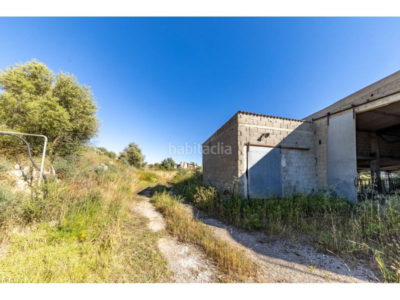 Foto b011149e-f72b-4f1b-9415-208a60096c7e. Finca rústica a Llucmajor interior Llucmajor