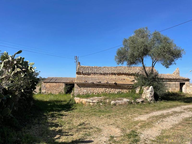 Foto bb09ec43-902b-4349-bd16-5b60eefec5a9. Rural plot in Llucmajor interior Llucmajor