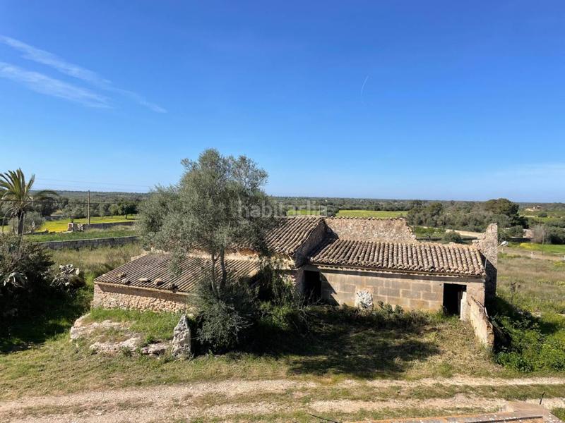 Foto cf5ff26a-2095-46c7-bec6-cf64620b0503. Rural plot in Llucmajor interior Llucmajor