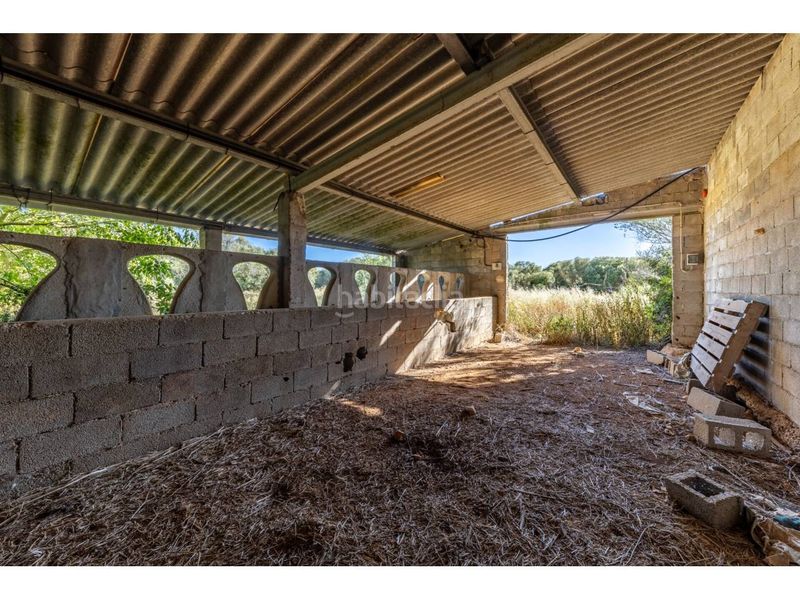 Foto d7a99fce-c895-4e9c-ad94-ee069fe23cef. Finca rústica a Llucmajor interior Llucmajor