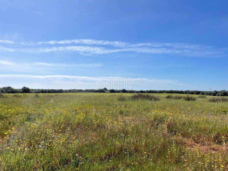 Foto f83b4674-d2bc-4447-9237-bebb05cab7c5. Rural plot in Llucmajor interior Llucmajor