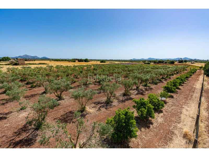 Foto 827f09f7-f7e6-4e45-aa5b-51c4c6a7e6a2. Xalet amb aparcament piscina a Muro
