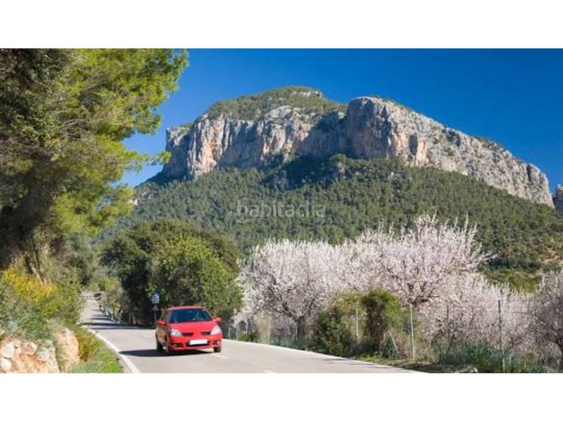 Foto a5ac2a2b-602c-43a6-a4fd-ad5f67b8c1e4. Finca rústica a Alaró