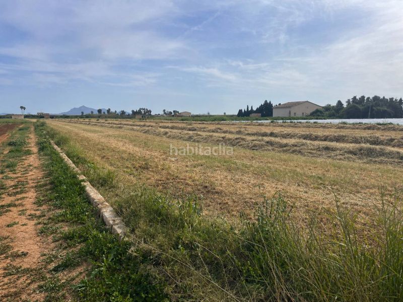 Foto 20473623-5822-492a-9a7b-c9966105d225. Finca rústica a Muro