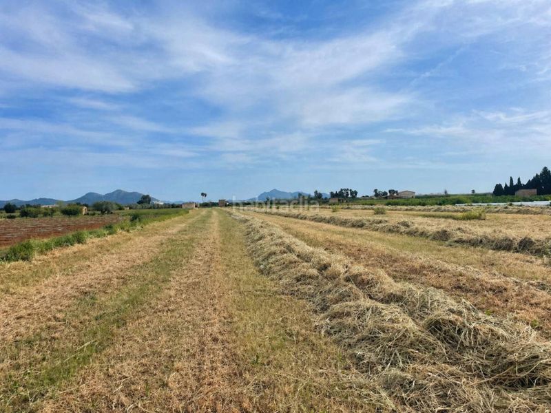 Foto 51bf683d-23c1-4087-a3e0-74f02749675a. Finca rústica a Muro