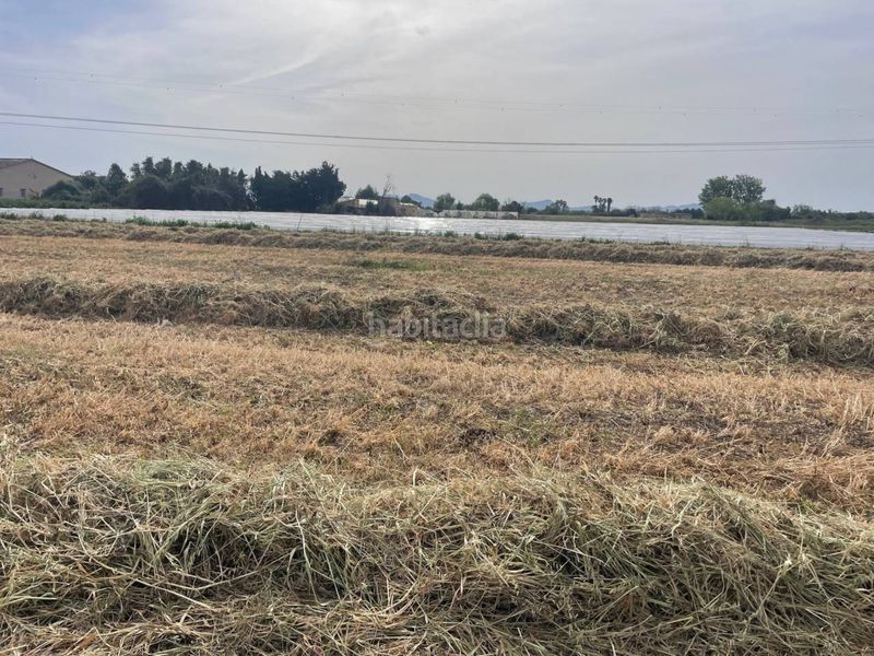 Foto 52079a33-b623-47d8-92c4-7953c9582146. Finca rústica a Muro