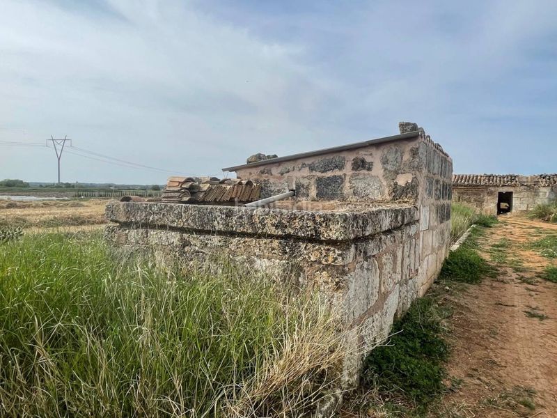 Foto 075d9b6e-a247-4700-9ad6-9cf636a5918d. Finca rústica a Sa Pobla