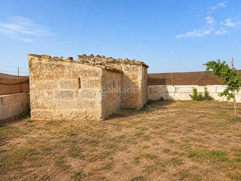 Foto b1cddb36-4142-41f4-9b8f-705ffd33fe28. Finca rústica a Sa Pobla