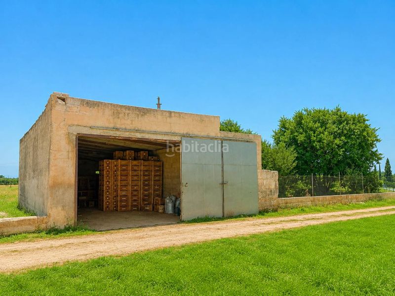 Foto 3a18b40a-6f8d-4cc9-a78b-ba5bd50c374f. Terreny residencial a Búger