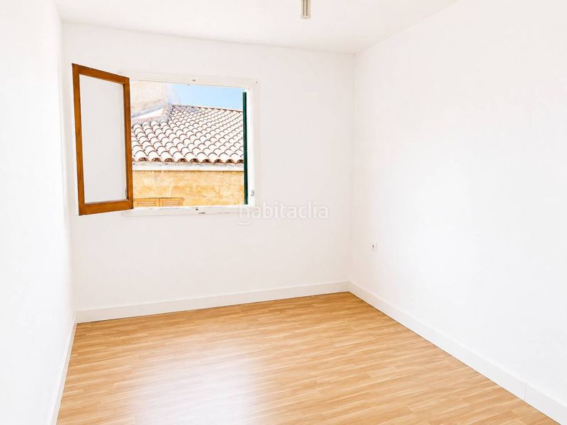 Foto 859dc590-8443-418c-a3d6-1e2a88dce0a4. Pis a Muro