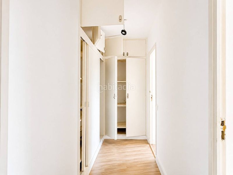 Foto 85ec43c5-ac64-4ea5-b4ba-0a231cc035a8. Pis a Muro