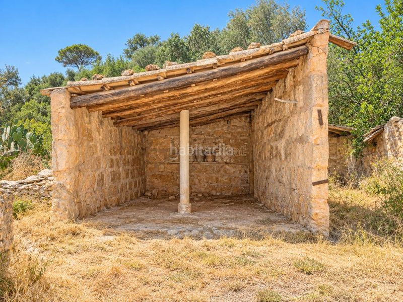 Foto 9fa7e502-e95e-44ec-9ced-75d909b9f271. Finca rústica a Sineu