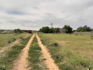 Terreny residencial a Muro. Finca rustica en venta en muro