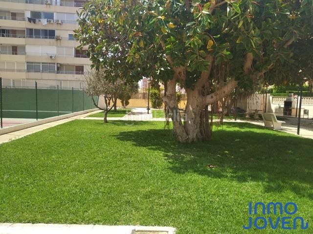 Foto 511c0268-e2bb-4925-8b64-912e50faa08b. Affitto piccolo appartamento in av. jaime i 110 in Campello (el)