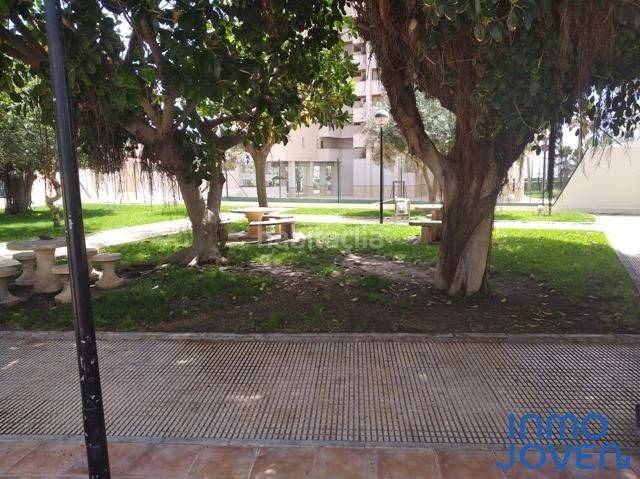 Foto f815c0a1-f374-4e60-bd2c-6eab142765b9. Affitto piccolo appartamento in av. jaime i 110 in Campello (el)
