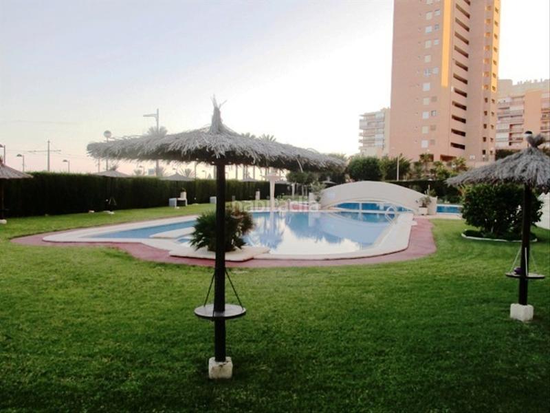 Foto 308b7b73-46a5-4484-a9cc-43b5fa804128. Alquiler apartamento a-322 apartamento ern primera linea en Playa Muchavista en Campello (el)
