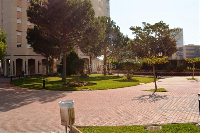 Foto b8565007-b3ae-4920-8318-4a4ed3dfe2b0. Affitto piccolo appartamento con parcheggio piscina in Campello (el)