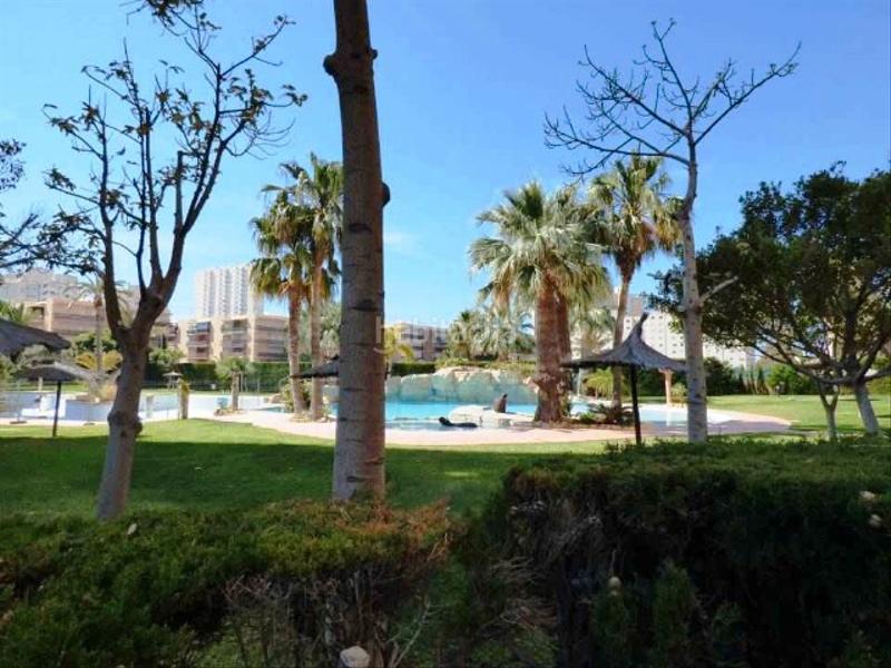 Foto ad94e86a-4cc2-4dd4-8221-f501e15a3032. Location appartement avec parking piscine dans Playa Muchavista Campello (el)
