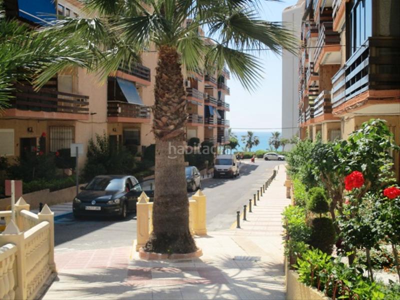 Foto 6d40c6ce-7d26-4348-af64-40488807bf1d. Apartament a carrer el pinós 16 a Playa Muchavista Campello (el)