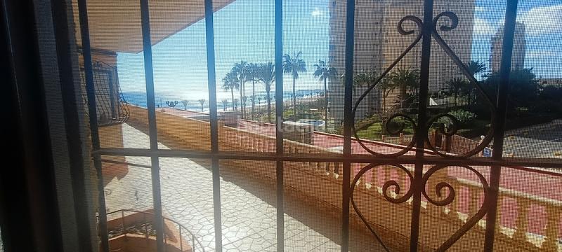 Foto 7e9150f0-4c11-41ad-89e7-e46ebf8a8af1. Apartament a carrer el pinós 16 a Playa Muchavista Campello (el)
