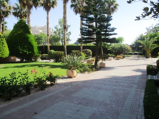 Foto 6fde416b-b8b3-49cb-9a1a-ac0cedd61bd1. Location appartement dans carrer de la figuera 1 dans Campello (el)