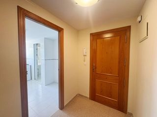 Affitto Piccolo appartamento in Camí de fondo 4. A- 585 apartamento en playa muchavista, no larga temporada