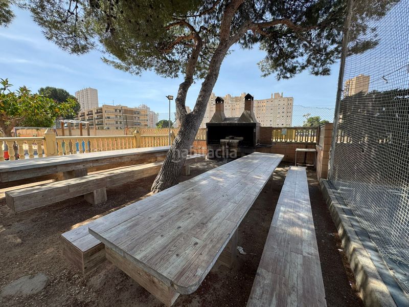 Foto 36021783-7658-4036-93cd-1216b2879295. Estudi a carrer el pinós 18 a Playa Muchavista Campello (el)