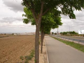 Terreno residencial en Bargas. Terreno de 11985 metros en la calle parrilla pol5vk par1220n