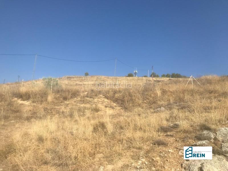 Foto b9b7ff1a-cb44-4690-b355-07165c3bee76. Terreno residencial suelo urbano residencial 11.237 m2 en el molar en Molar (El)