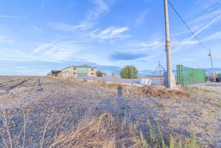 Miete Fabrikhalle in Calle yunclillos 89. Oportunidad única en recas . nave industrial de 1700m2 en una pa