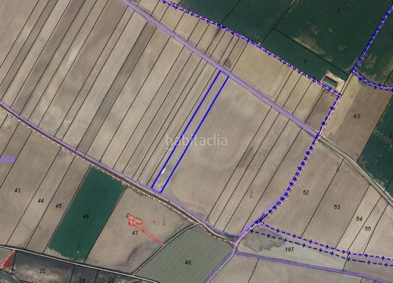 Foto e283b480-8d41-4bc8-8ab8-15deed40ff0d. Terrain résidentiel dans polígono urbanizable sector 12 dans Magán