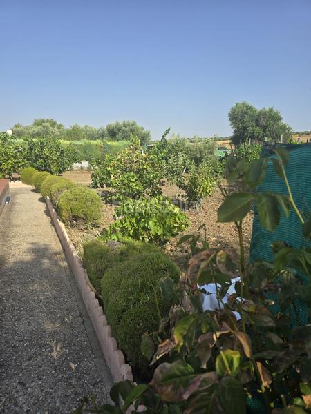 Foto a2f078dc-0185-4589-af6d-82b3ff3833a3. Casa con riscaldamento piscina in Yuncos