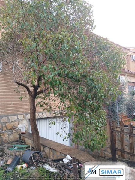 Foto a978d7d4-b4f4-44ff-9c1b-4fd06ffa72fe. Casa adossada amb piscina a Nambroca