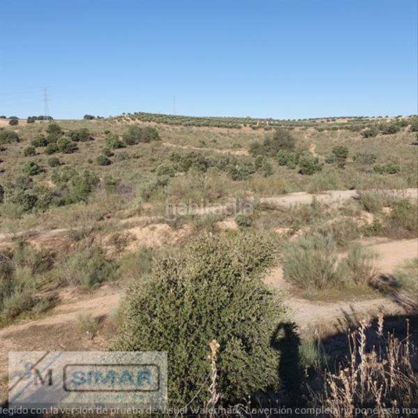 Foto 97845836-db0d-448d-a1d9-e976138dba08. Finca rústica solar rustico en Bargas