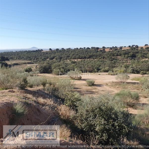 Foto aea30808-629f-4255-b6c8-e8faa1913f2a. Finca rústica solar rustico en Bargas