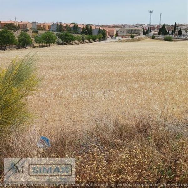 Foto 2e59d4b0-bb67-48ad-94dd-0e13a8b4b0e7. Terreno residencial en Recas