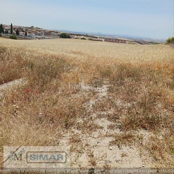 Foto b4ef29be-e78c-4f6c-a2b6-87c86de23af7. Terreno residencial en Recas