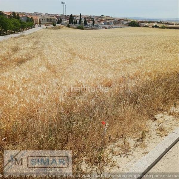 Foto b924c960-9b60-4def-a0d4-f0f060bc09ad. Terreno residencial en Recas