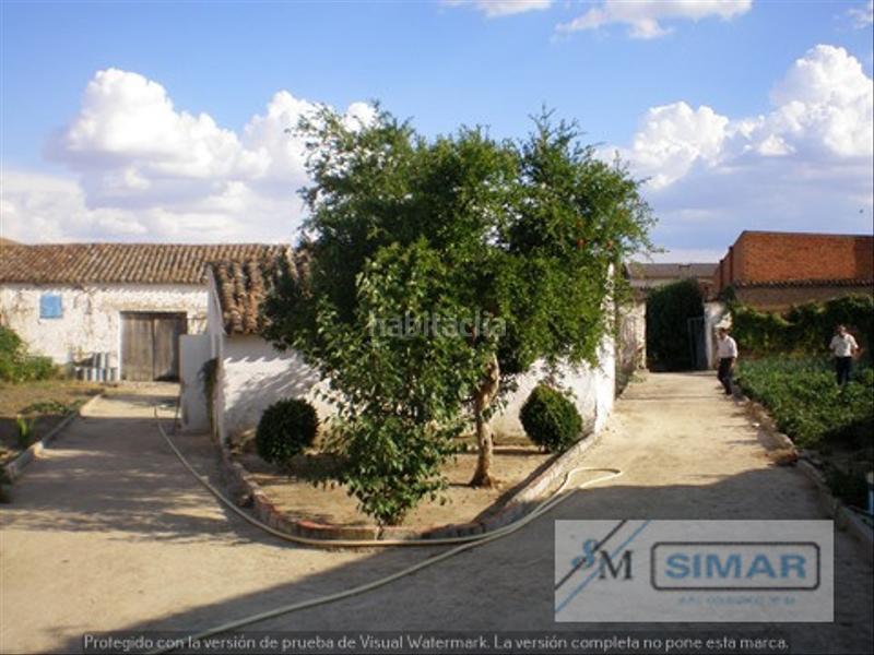 Foto c57e20ac-397e-49ce-9354-ec017e9b46c3. Casale in Mata (La)