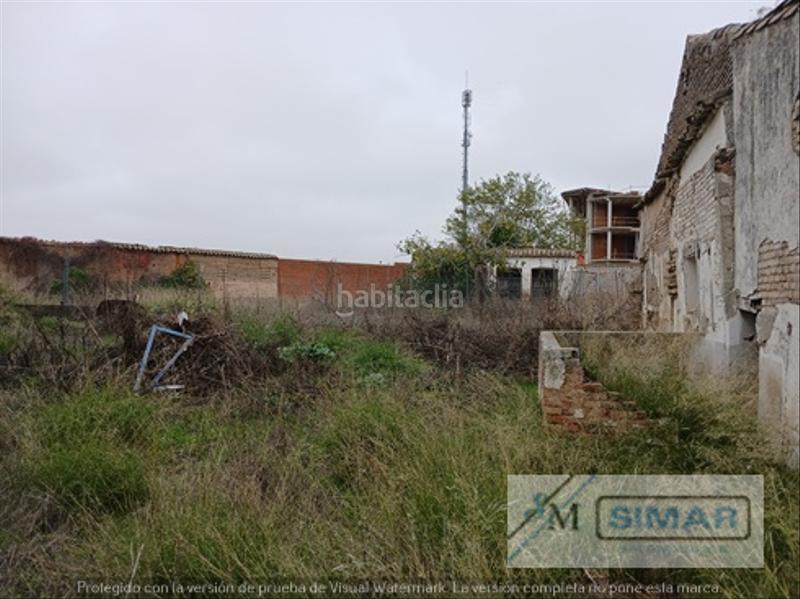 Foto d559eca9-cc2b-4794-89bc-32b6661bb47a. Casale in Mata (La)