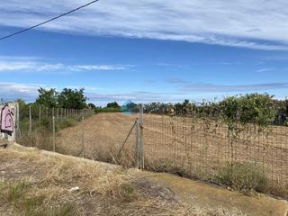 Masia  Canet. Finca rst. en venta en norte.