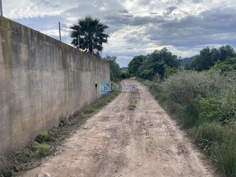 Foto 1846dbdc-b0cc-472a-8308-2e3163add4c8. Casale in Pau Lledó Castellón de la Plana