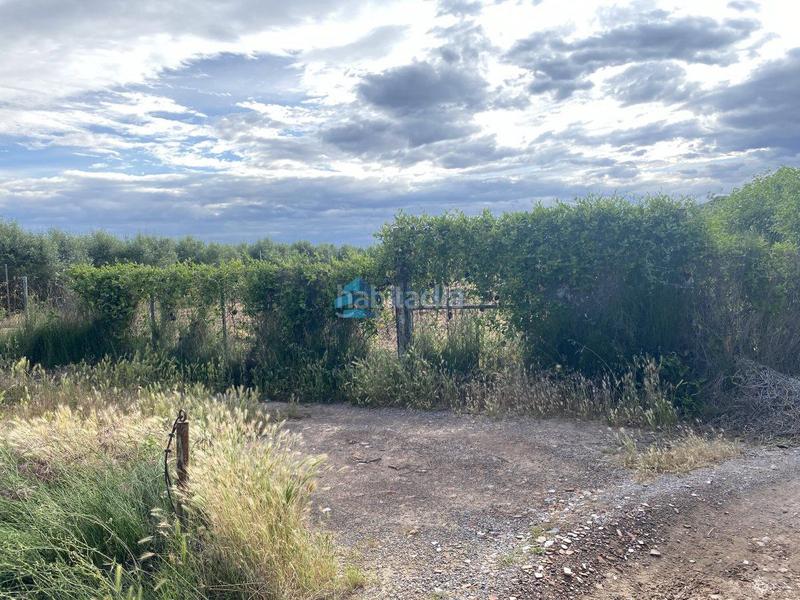 Foto 49bba67a-73cb-47c8-91ee-794d4cfaf447. Casale in Pau Lledó Castellón de la Plana