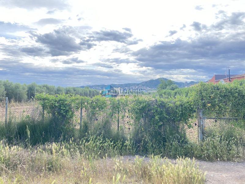 Foto 57579a9f-ac38-4075-bf1c-a2883c72ddae. Casale in Pau Lledó Castellón de la Plana