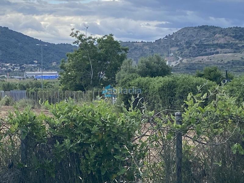 Foto 61ece165-8ae4-4691-a01c-49f1f36b87b3. Casale in Pau Lledó Castellón de la Plana